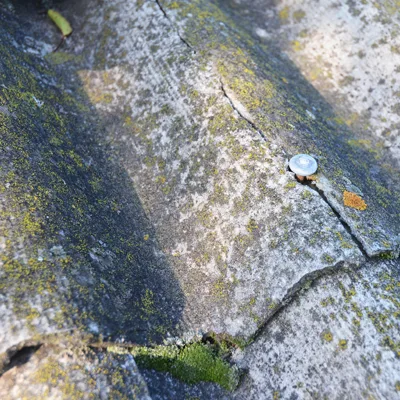 asbestos testing melbourne